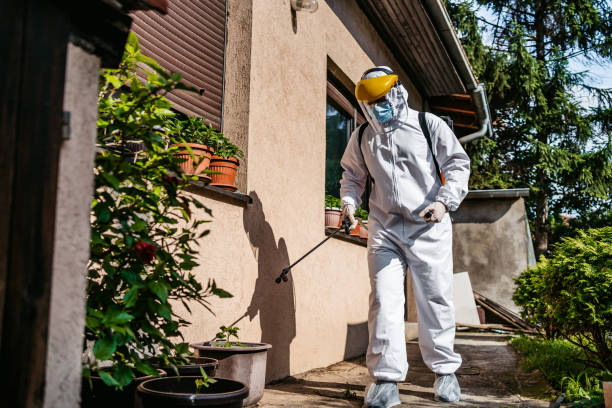 Best Pest Prevention Services  in Rothschild, WI