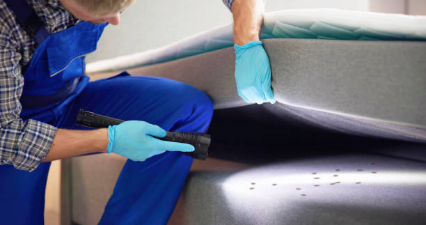 Flea Control Services in Rothschild, WI