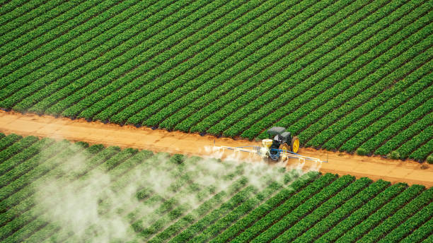 Best Pest Control Cost  in Rothschild, WI