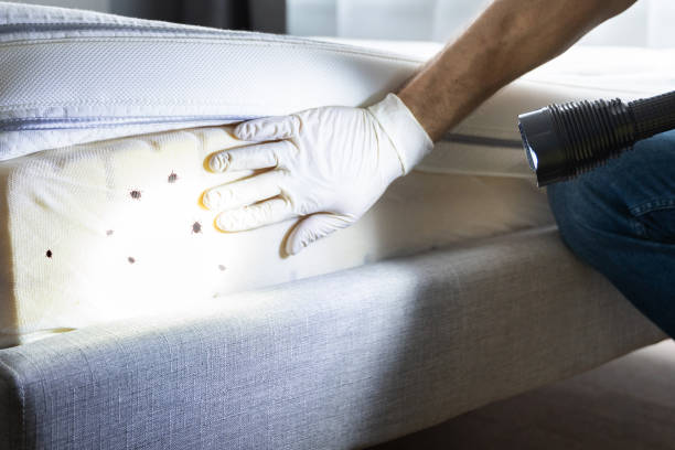 Best Pest Inspection Near Me  in Rothschild, WI